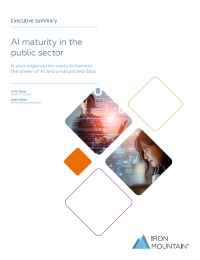 AI Maturity In the Public Sector