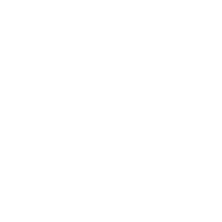 Government Contracting Solutions