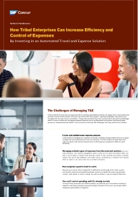 4 Ways Tribal Enterprises Can Shine a Light on T&E Spending