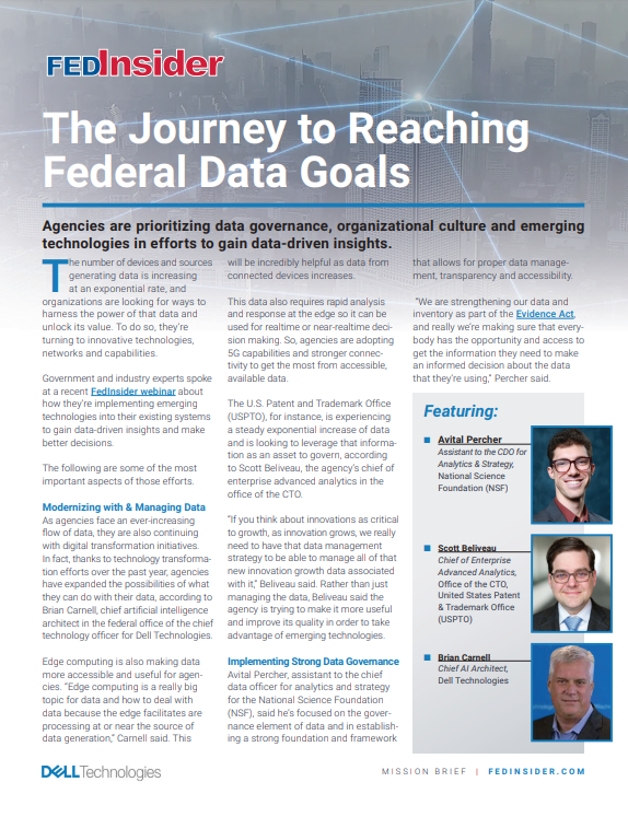 The Journey to Reaching Federal Data Goals Thumbnail.PNG