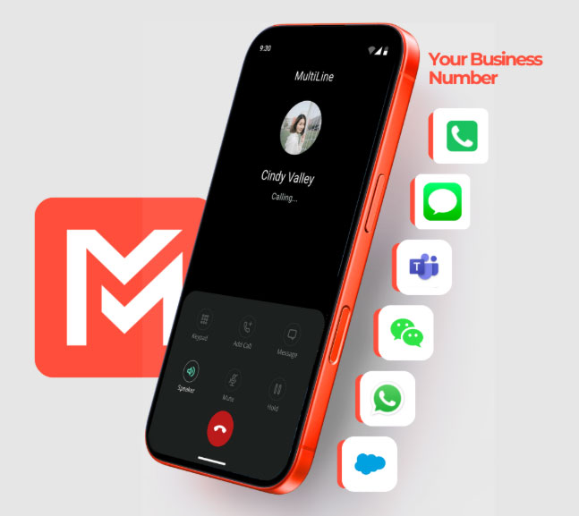 Movius1.jpg