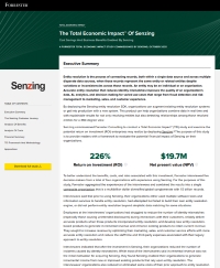 The Total Economic Impact™ Of Senzing