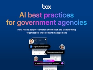 AI Best Practices for Government Agencies