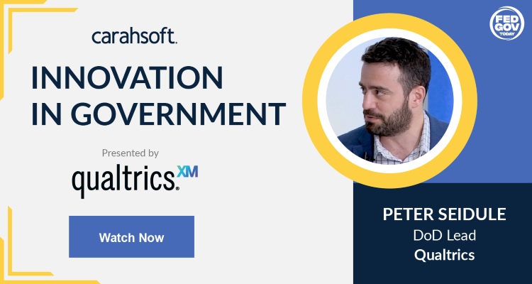 Innovation in Government