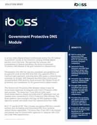 Government Protective DNS Module