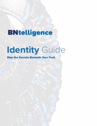 BNtelligence Identity Guide