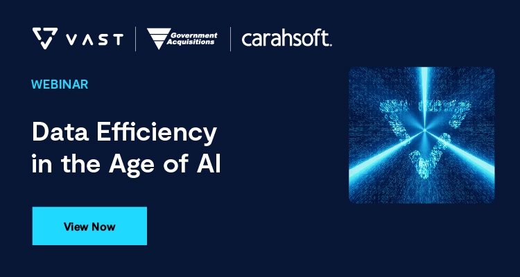Data Efficiency in the Age of AI