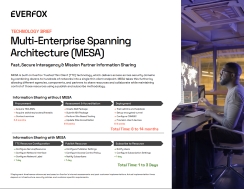 Multi-Enterprise Spanning Architecture (MESA)
