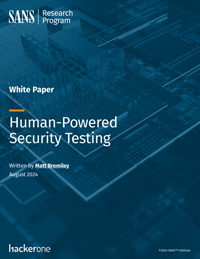 Human Powered Security Testing