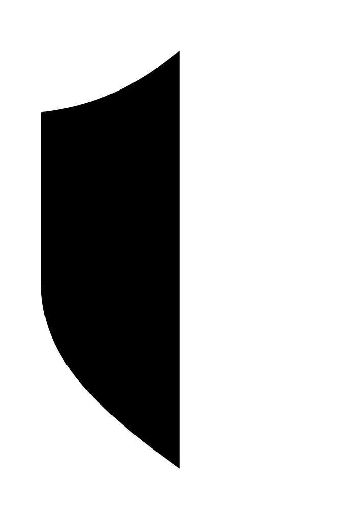 shield icon