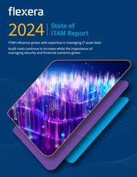 2024 State of ITAM Report