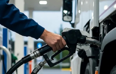 State and Local Governments