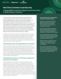 Real Time Container Level Security