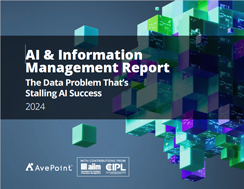 AI and Information Management Report 2024