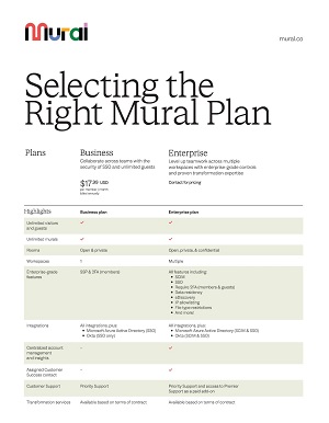Selecting the Right Mural Plan
