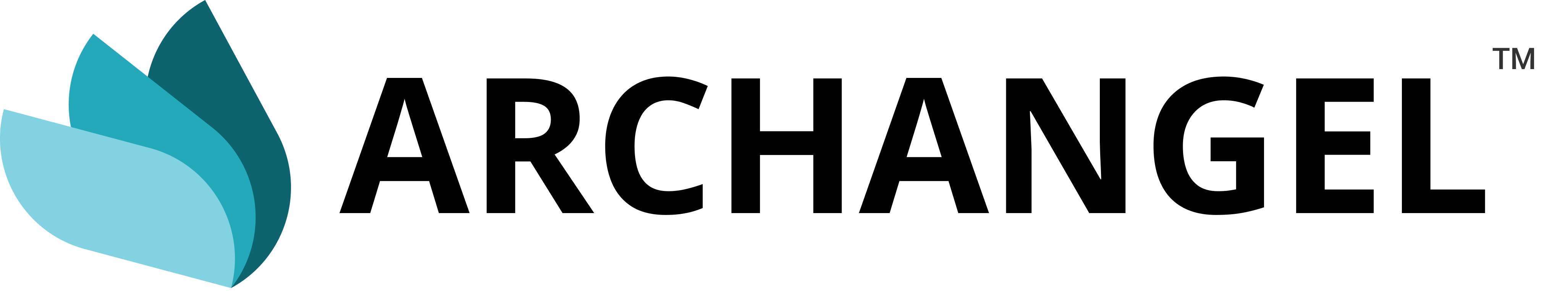 Archangel Logo 