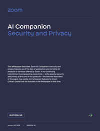 AI Companion Security and Privacy