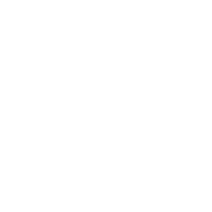 insights