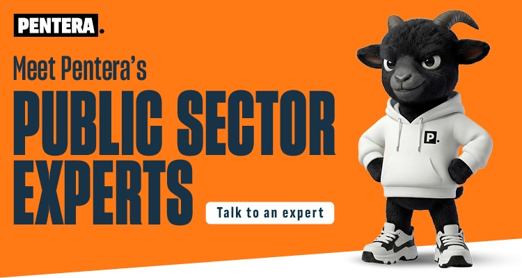 Meet Pentera's Public Sector Experts