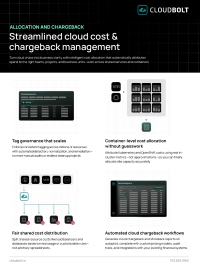 Allocation and Chargeback Capability Guide