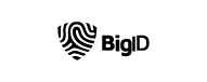 BigID
