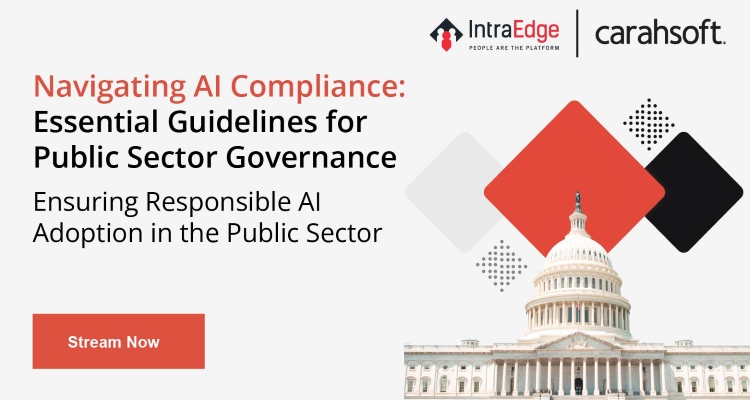 Navigating AI Compliance: Essential Guidelines for Public Sector Governance