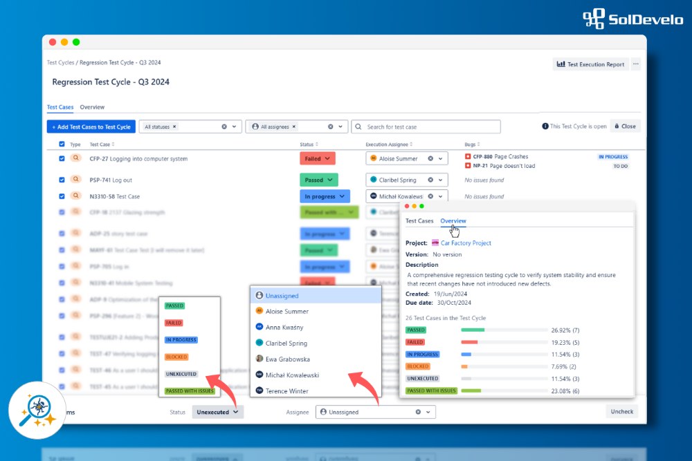 Test Execution & Cycles