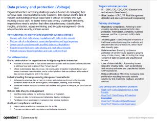 Data privacy and protection (Voltage)