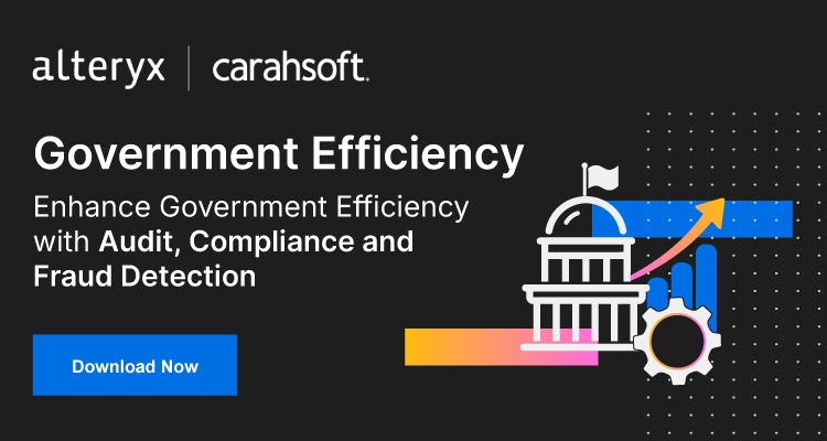 Government Efficiency