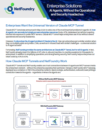 enterprise_solutions_netfoundry_img.png