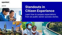 Standouts in Citizen Experience