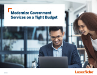 Modernize Government Services on a Tight Budget