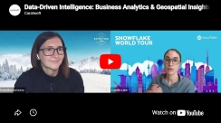 Data-Driven Intelligence: Business Analytics & Geospatial Insights for NY State & Local Government