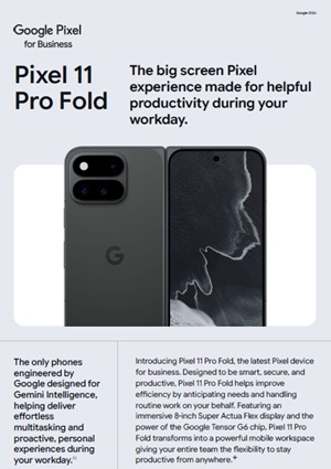 Pixel 11 Pro Fold