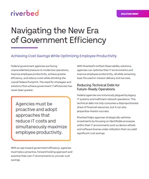 Navigating the New Era of Government Efficiency