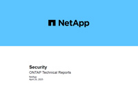 NetApp ONTAP Technical Report