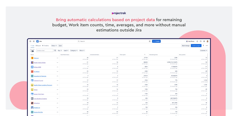 Project Formula Fields