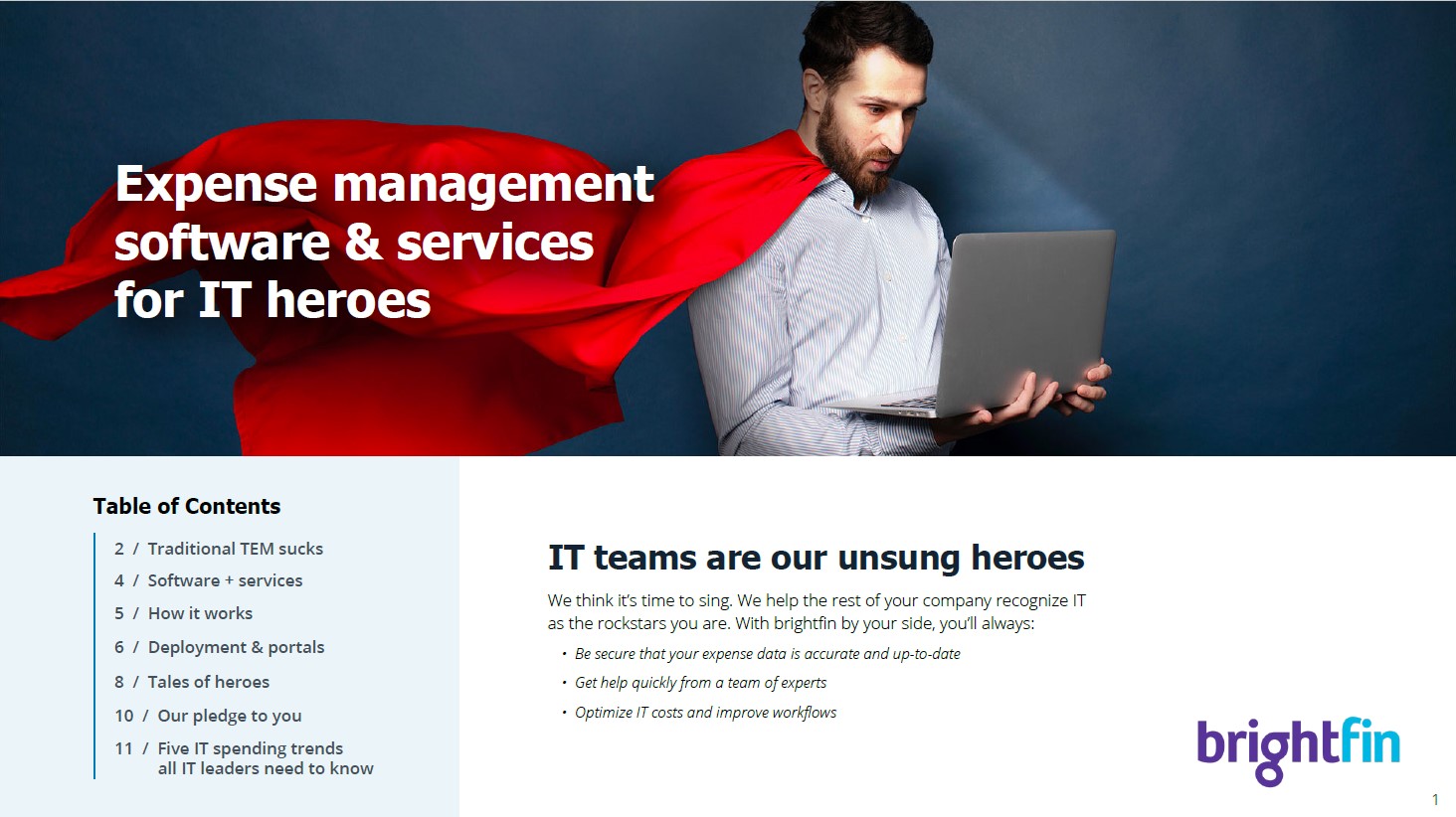 Expense Management Software & Services for IT Heroes