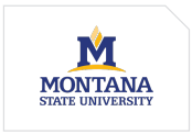 montanaicon.png