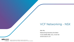 VCF Networking - NSX