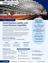 M&S for Public Sector: Small Business Agility with Large Business Capability