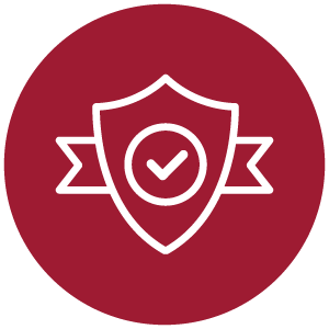 Instantaneous Verifications icon