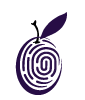 Plum Identity logo