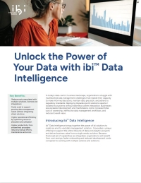 ibi Unlock the Power of Your Data with ibi Data Intelligence