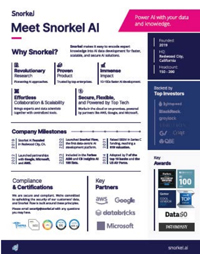 Meet Snorkel.AI
