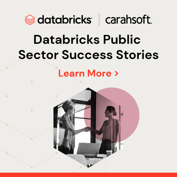Databricks Public Sector Success Stories