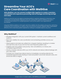 Streamline Your ACO's Care Coordination with WellHive