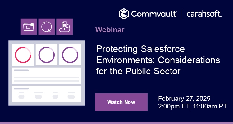 Protecting Salesforce Environments: Considerations for the Public Sector