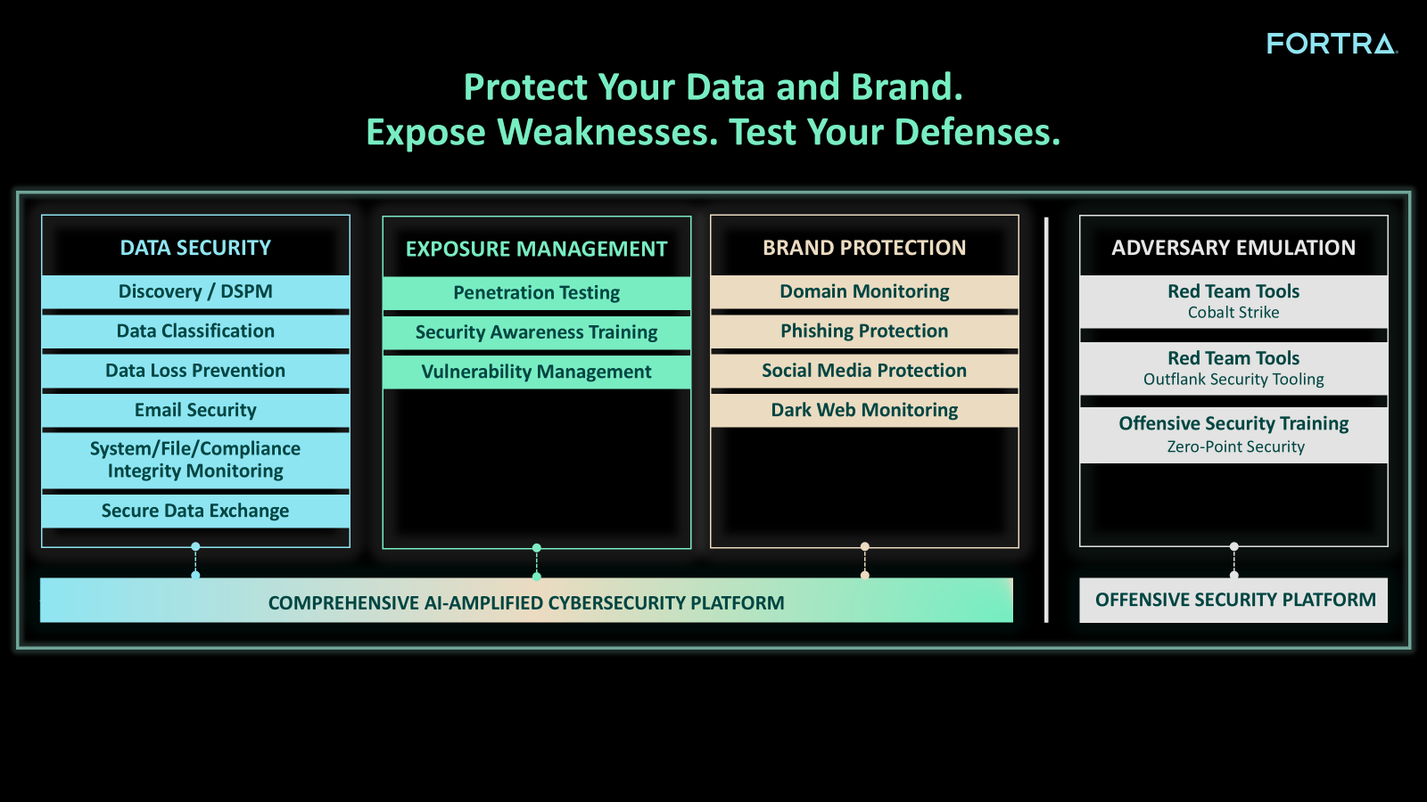 Product Your Data and Brand. Expose Weaknesses. Test Your Defenses. Graphic