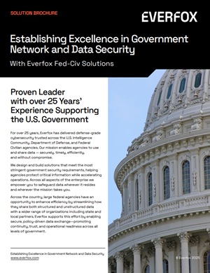 Establishing Excellence in Government Network and Data Security